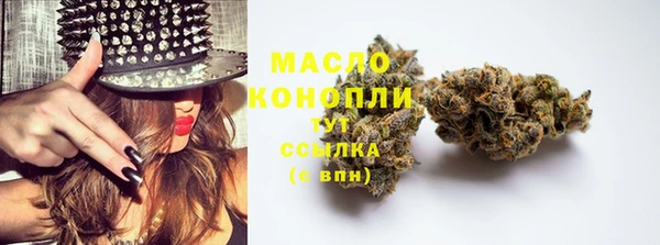 гидра Бородино