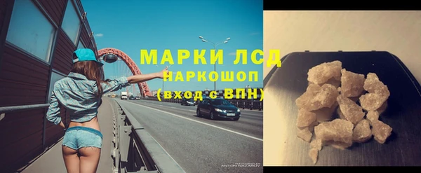гидра Бородино