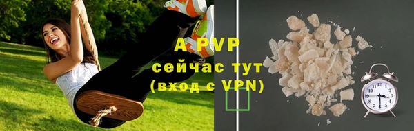 PSILOCYBIN Бугульма