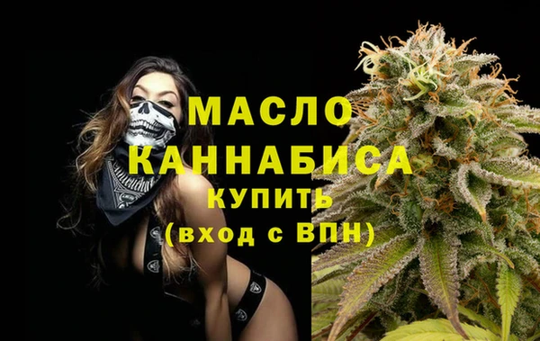 гидра Бородино