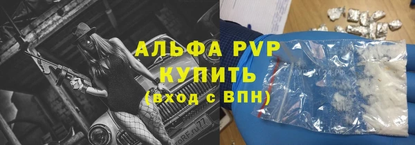 гидра Бородино