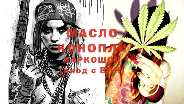 гидра Бородино