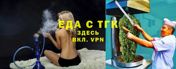 гидра Бородино