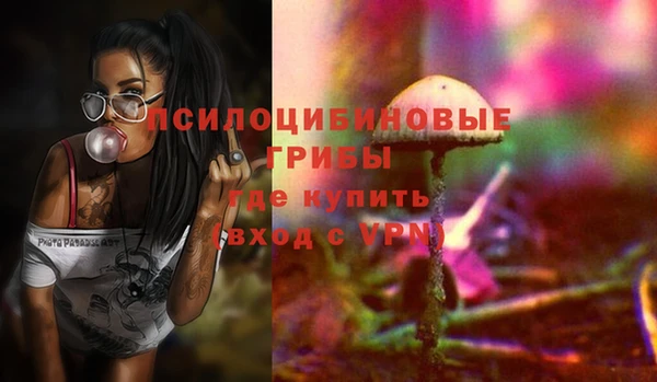 гидра Бородино